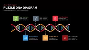 Puzzle Dna Diagram