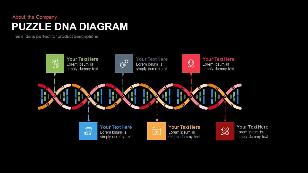 Puzzle Dna Diagram