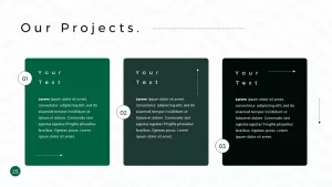 Business Presentation PowerPoint Template Our Projects