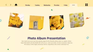 photo album presentation