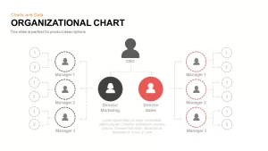 organizational chart