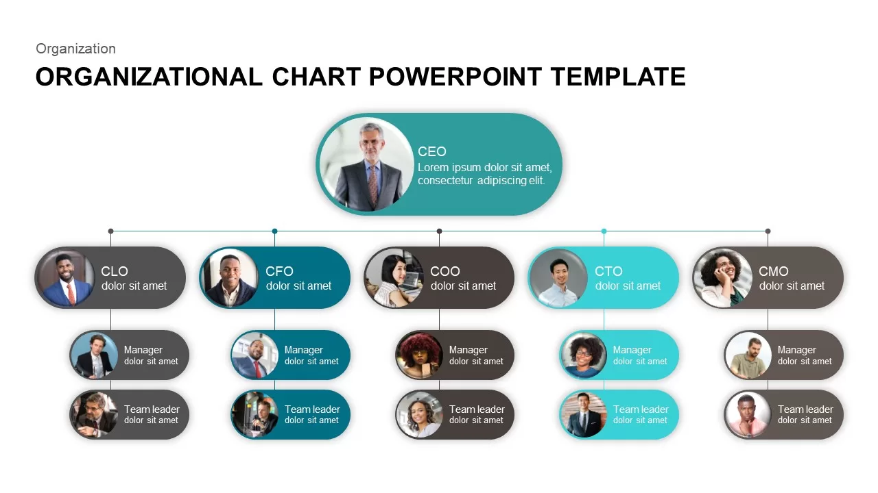 organizational chart templates