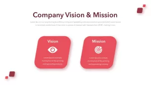 company vision mision