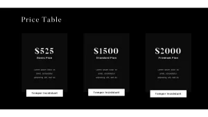 Price Table Black and White Business Plan Presentation Template