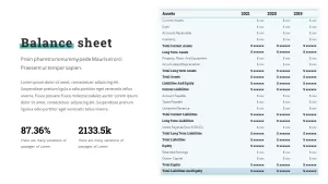 balance sheet