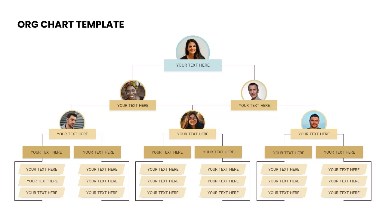 Org Chart Infographics