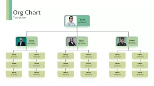 Org Chart Infographic Template