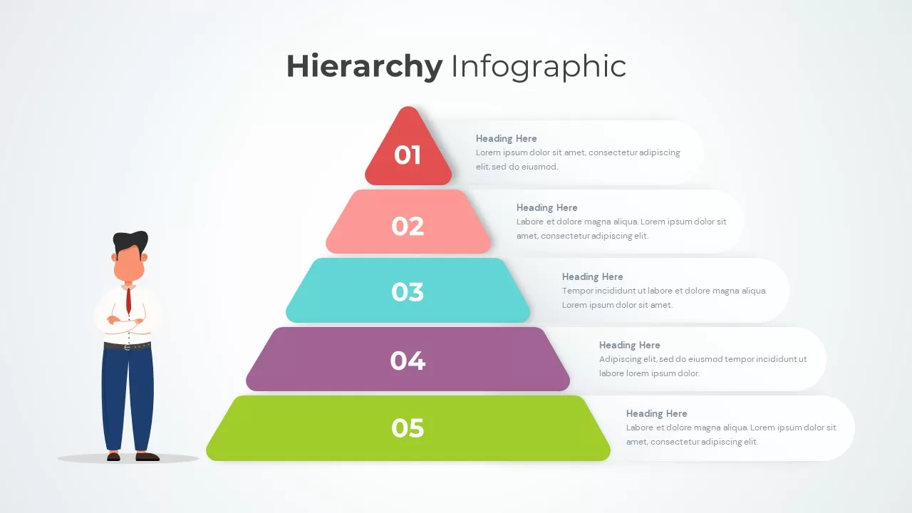 Hierarchy Infographic