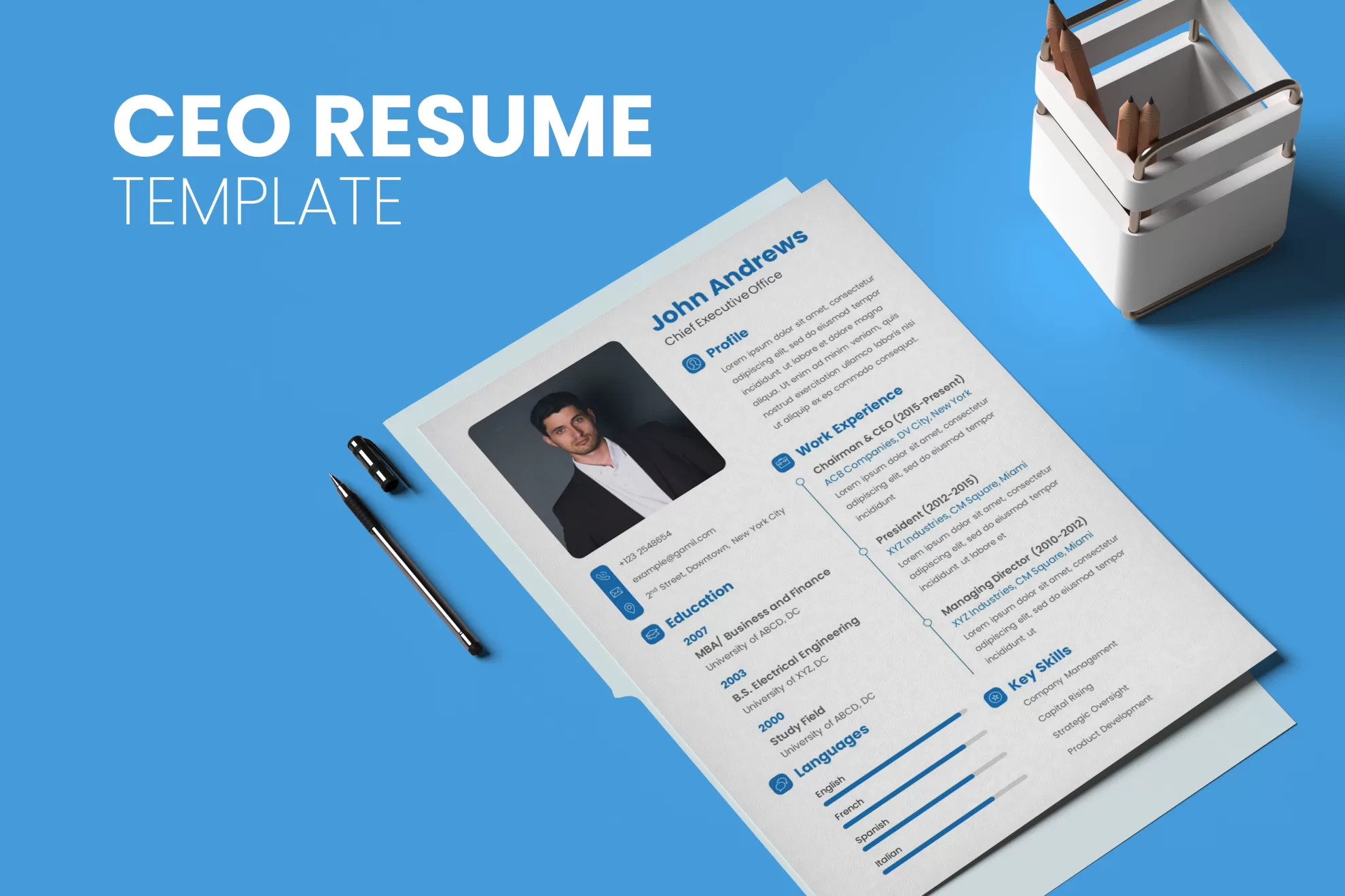 ceo resume template