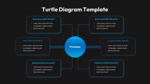 turtle chart