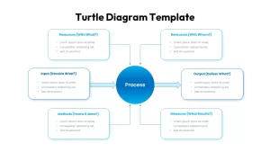 turtle diagram