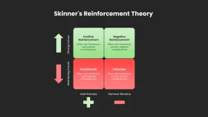 Skinner's Reinforcement Theory powerpoint template