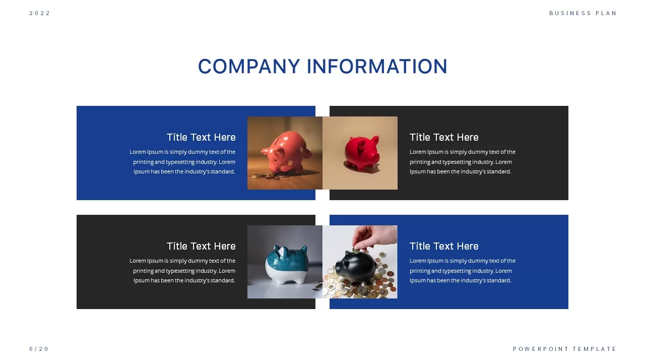 company information ppt slide