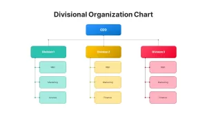 Divisional Organizational Chart Template