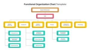 Functional Organizational Chart Template