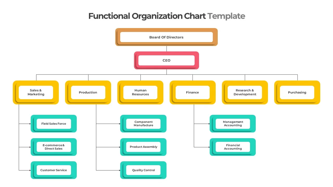 Functional Organizational Chart Template