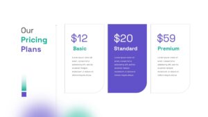 Software Presentation Pricing Plan Template