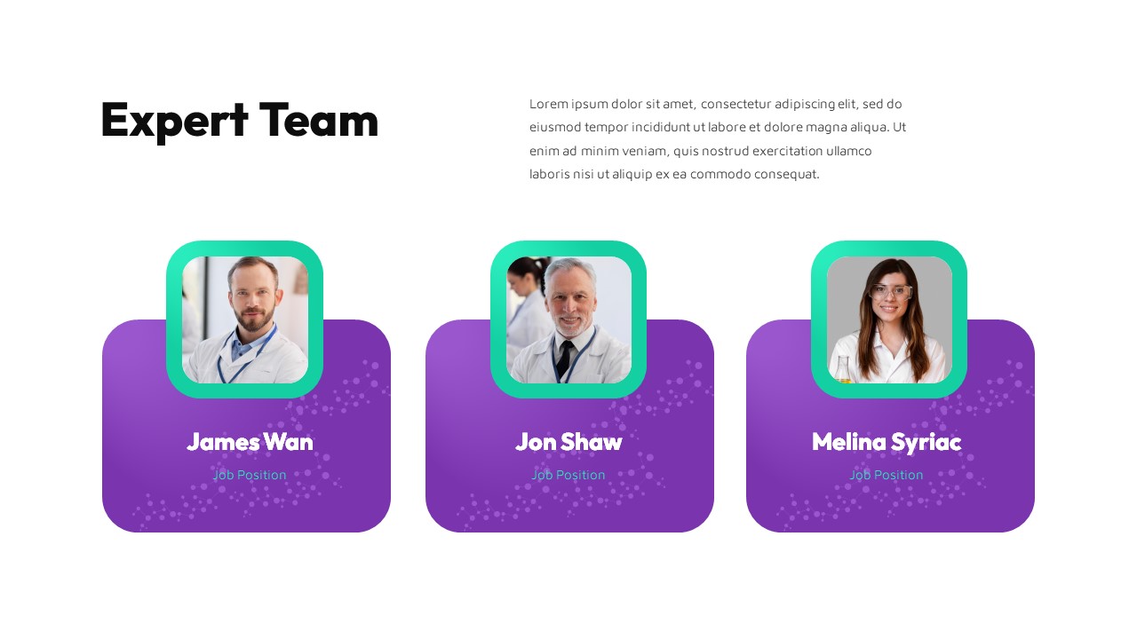 expert team ppt template