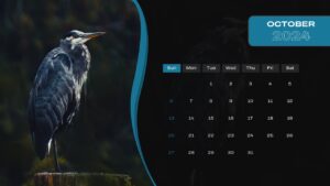 Free-PowerPoint-Calendar-2024-Template-October