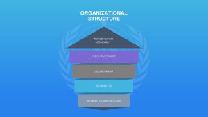 Free-World-Health-Organization-PowerPoint-Template-Structure