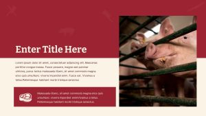 Meat Farm PowerPoint Theme title