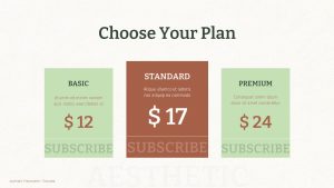 Aesthetic PowerPoint Template Deck Choose Your Plan Slide