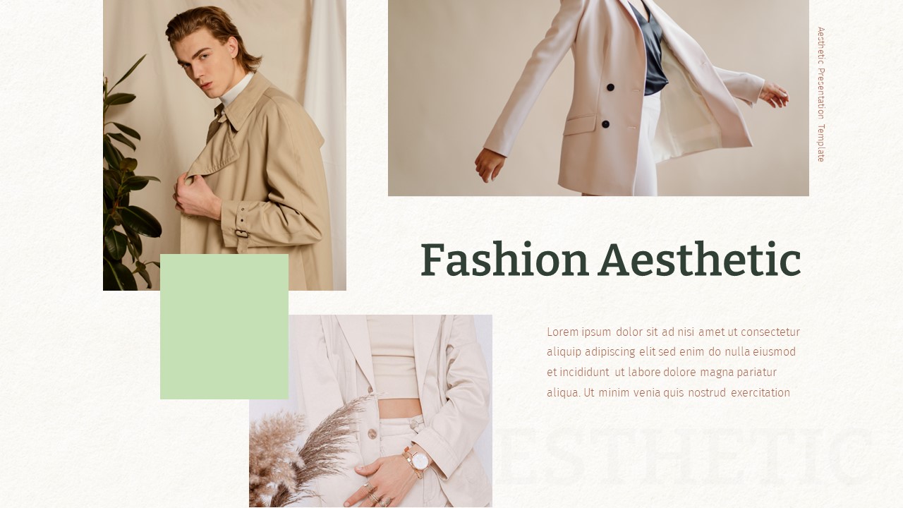 Aesthetic PowerPoint Template Deck Fashion Slide