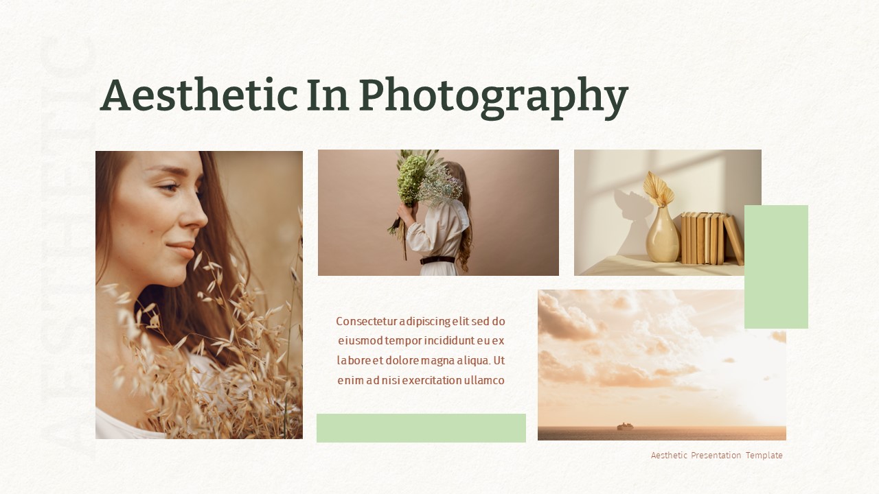 Aesthetic PowerPoint Template Deck Photography Slide