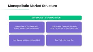 Monopolistic Market Structure Presentation Slide