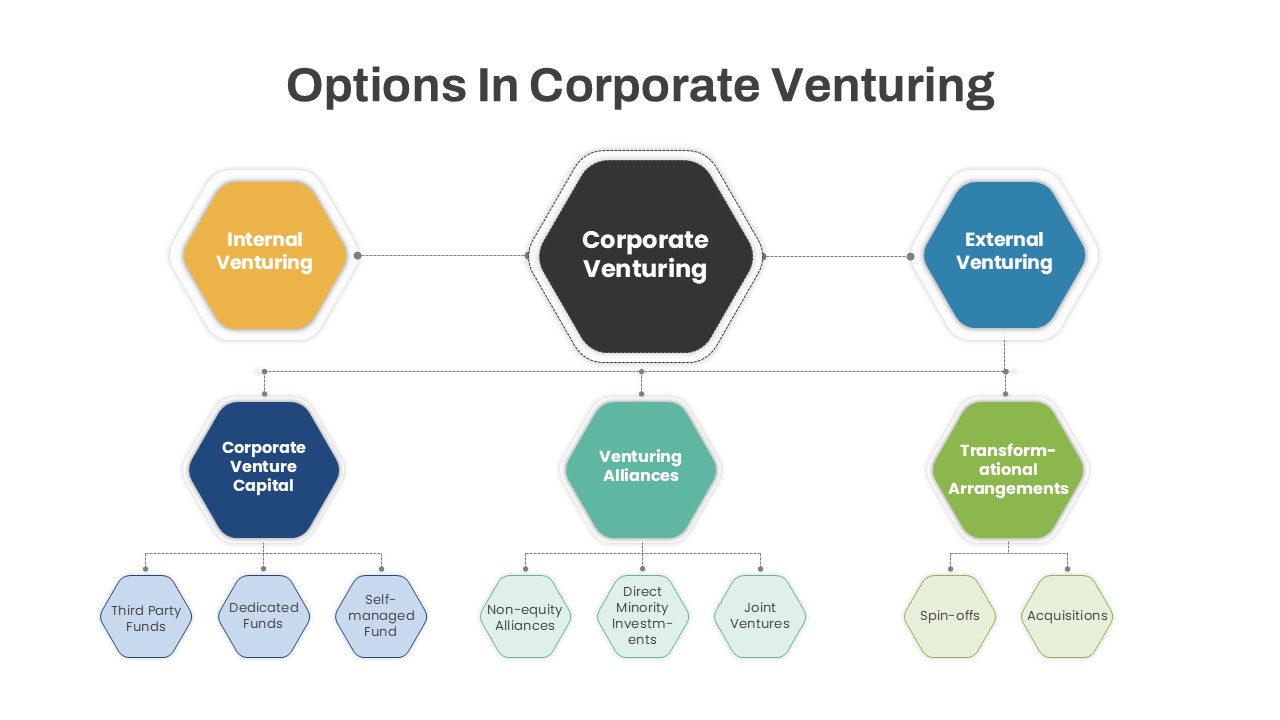 Options in Corporate Venturing PowerPoint Template