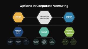 Options in Corporate Venturing Presentation Slide Black