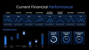 Budget Presentation Template performance slide