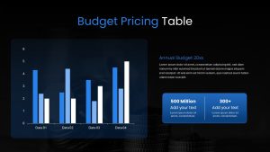 Budget Presentation Template pricing slide