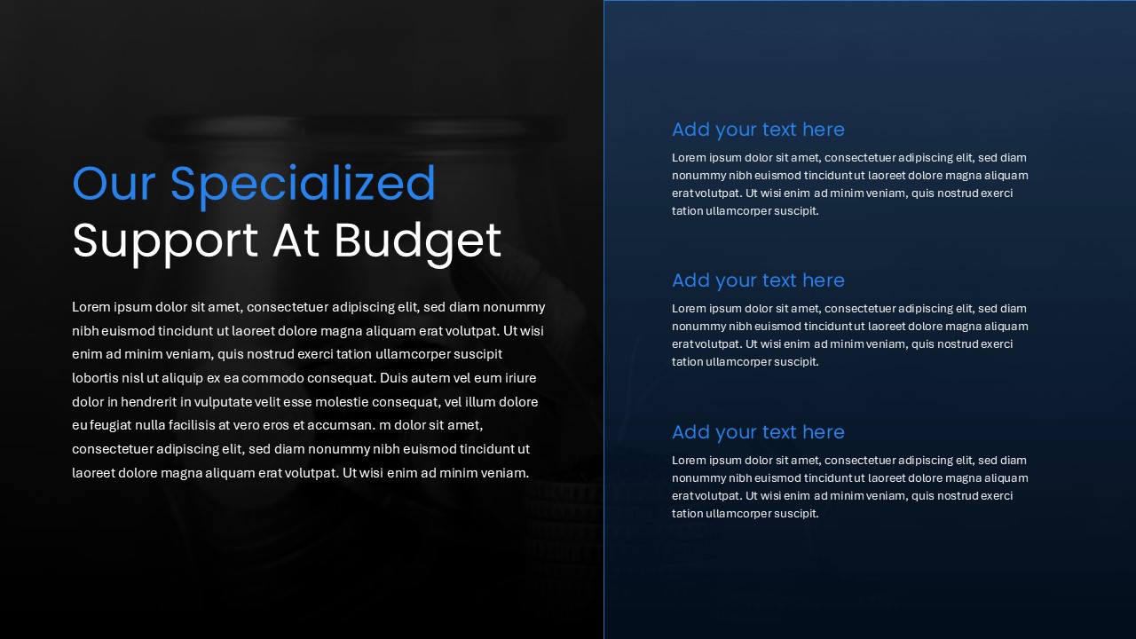 Budget Presentation Template support slide